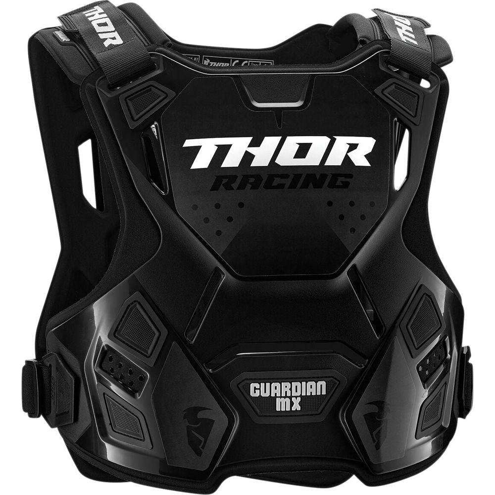 Thor Guardian 2701-0957 Roost Deflector Back store Protector