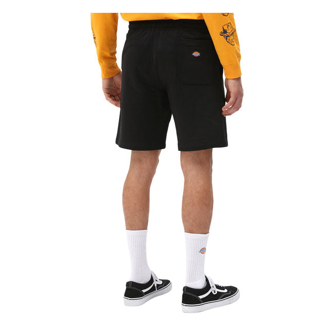 Dickies Champlin Shorts Black - FREE UK Shipping, FREE 365 Day Returns | Moto Central