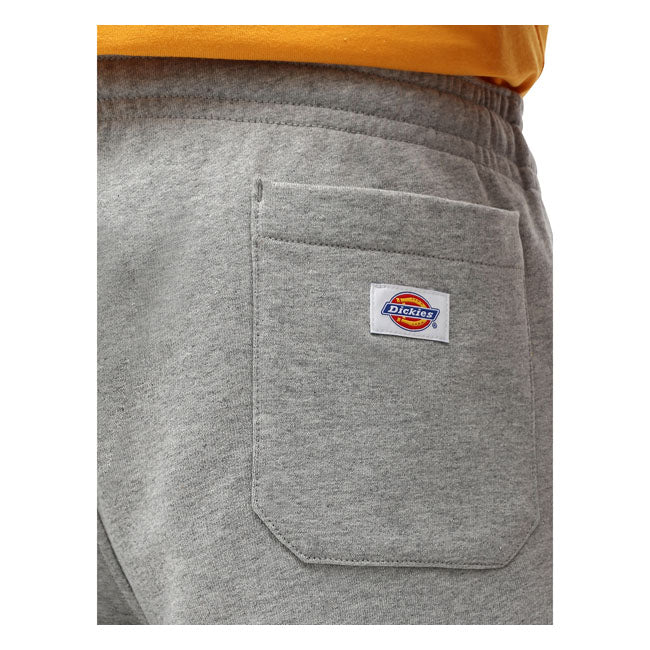 Dickies Champlin Shorts Grey Melange - FREE UK Shipping, FREE 365 Day Returns | Moto Central