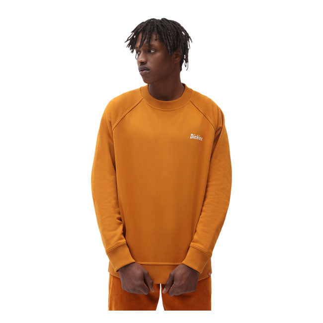 Dickies Bettles Sweatshirt Pumpkin Spice - FREE UK Shipping, FREE 365 Day Returns | Moto Central