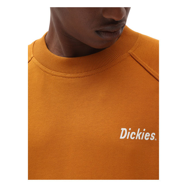 Dickies Bettles Sweatshirt Pumpkin Spice - FREE UK Shipping, FREE 365 Day Returns | Moto Central