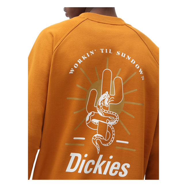 Dickies Bettles Sweatshirt Pumpkin Spice - FREE UK Shipping, FREE 365 Day Returns | Moto Central