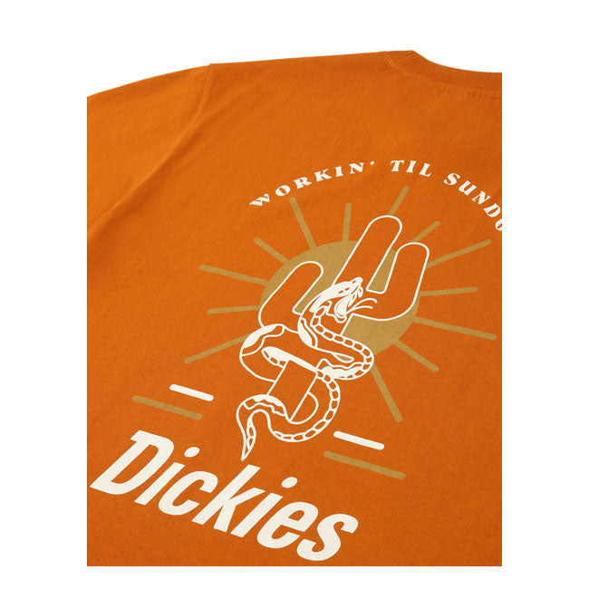 Dickies Bettles T-Shirt Pumpkin Spice