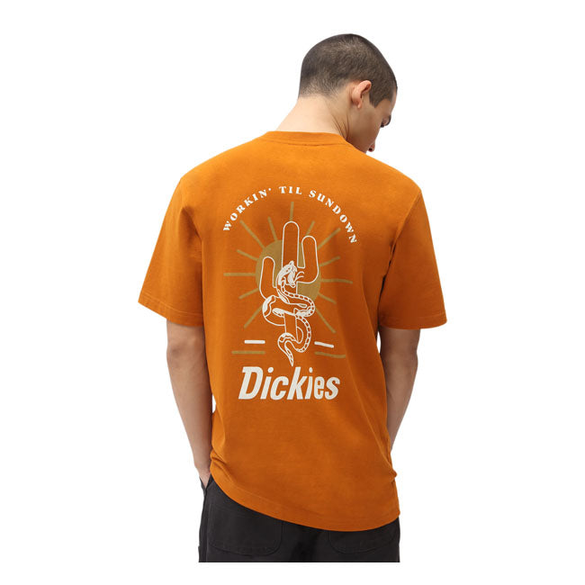 Dickies Bettles T-Shirt Pumpkin Spice