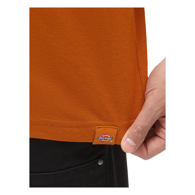 Dickies Bettles T-Shirt Pumpkin Spice