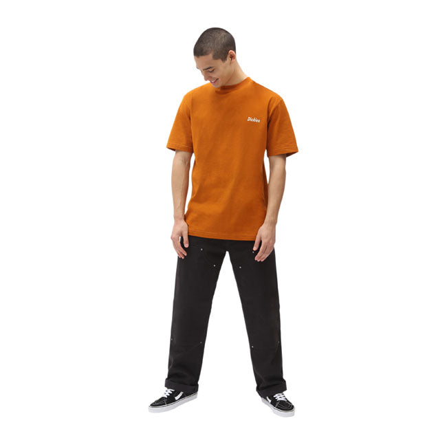 Dickies Bettles T-Shirt Pumpkin Spice