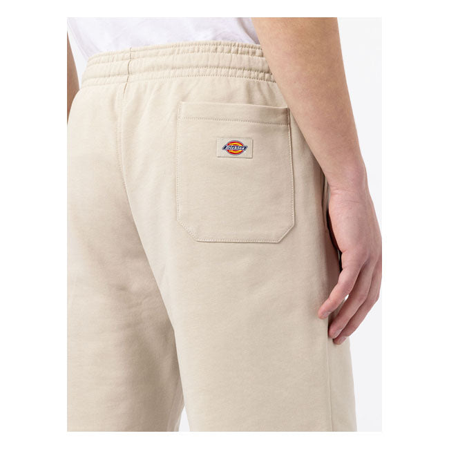 Dickies Champlin Shorts Cement - FREE UK Shipping, FREE 365 Day Returns | Moto Central