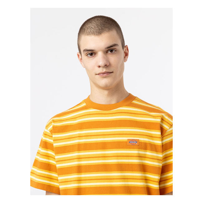 Dickies Lynnwood T-Shirt Air Pale Banana