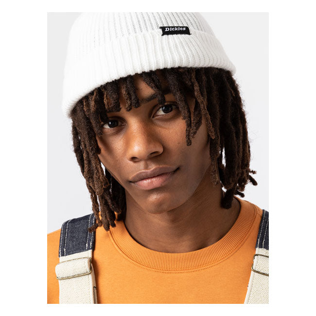 Dickies Woodworth Beanie Cloud