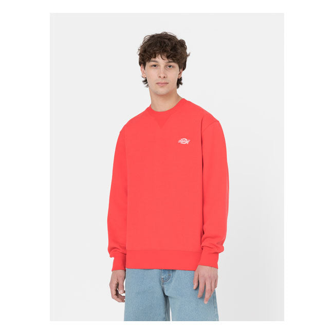 Dickies Summerdale Sweat Bittersweet - FREE UK Shipping, FREE 365 Day Returns | Moto Central