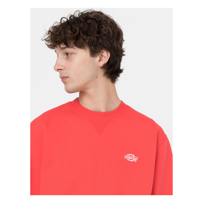 Dickies Summerdale Sweat Bittersweet - FREE UK Shipping, FREE 365 Day Returns | Moto Central