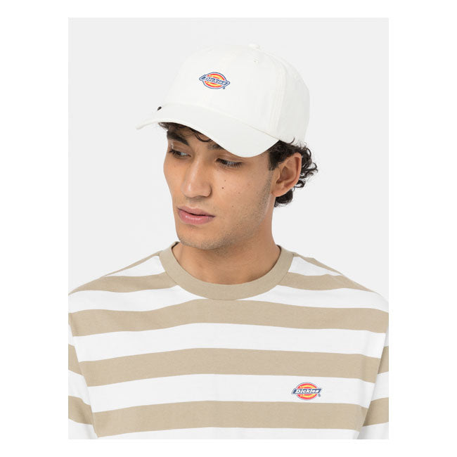 Dickies Hardwick Cap Cloud