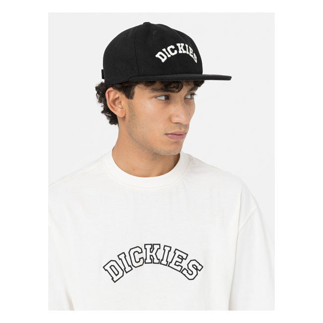 Dickies West Vale Cap Black