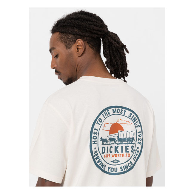 Dickies Greensburg T-Shirt Whitecap Grey