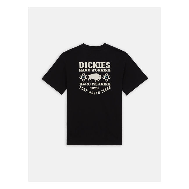 Dickies Hays T-Shirt Black