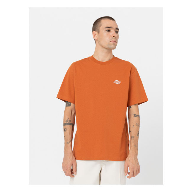 Dickies Summerdale T-Shirt Bombay Brown - FREE UK Shipping, FREE 365 Day Returns | Moto Central