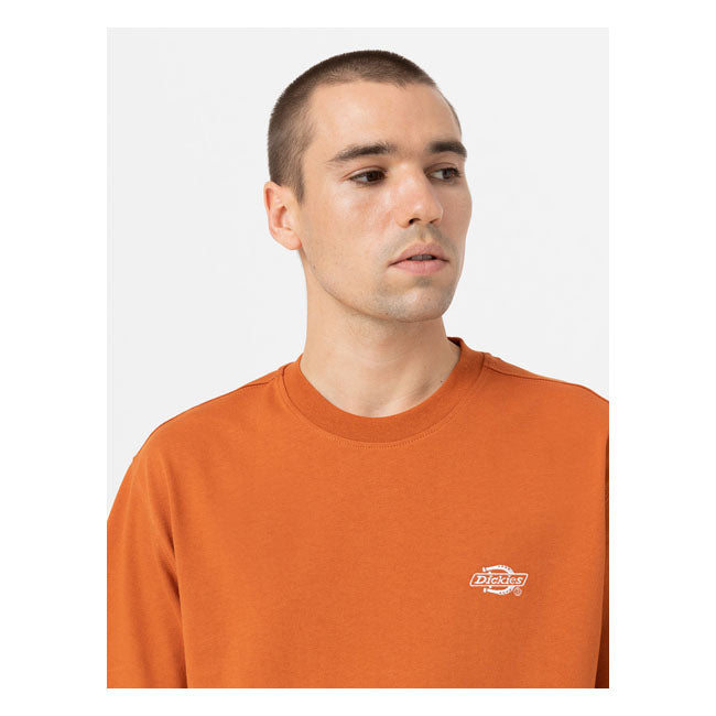 Dickies Summerdale T-Shirt Bombay Brown - FREE UK Shipping, FREE 365 Day Returns | Moto Central