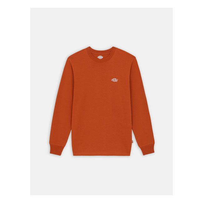 Dickies Summerdale Long Sleeves T-Shirt Bombay Brown