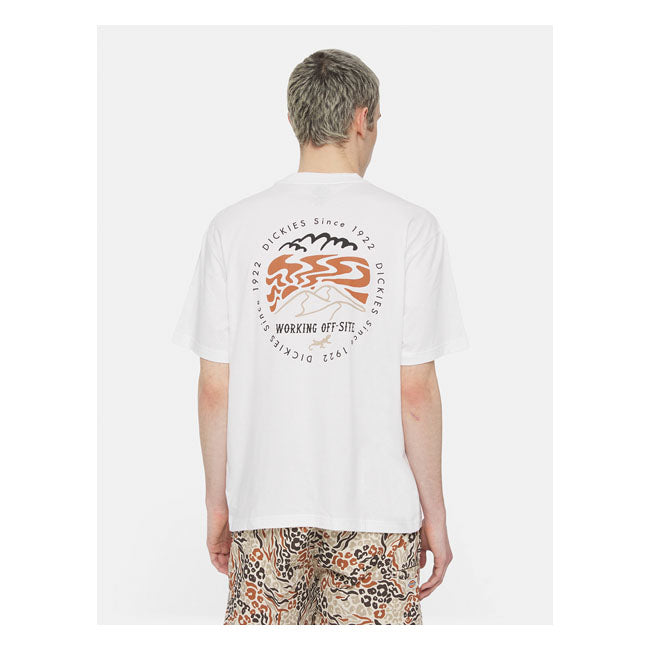 Dickies Stanardsville T-Shirt White - FREE UK Shipping, FREE 365 Day Returns | Moto Central