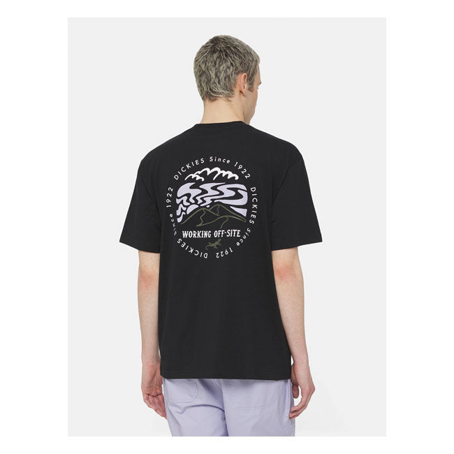 Dickies Stanardsville T-Shirt Black - FREE UK Shipping, FREE 365 Day Returns | Moto Central