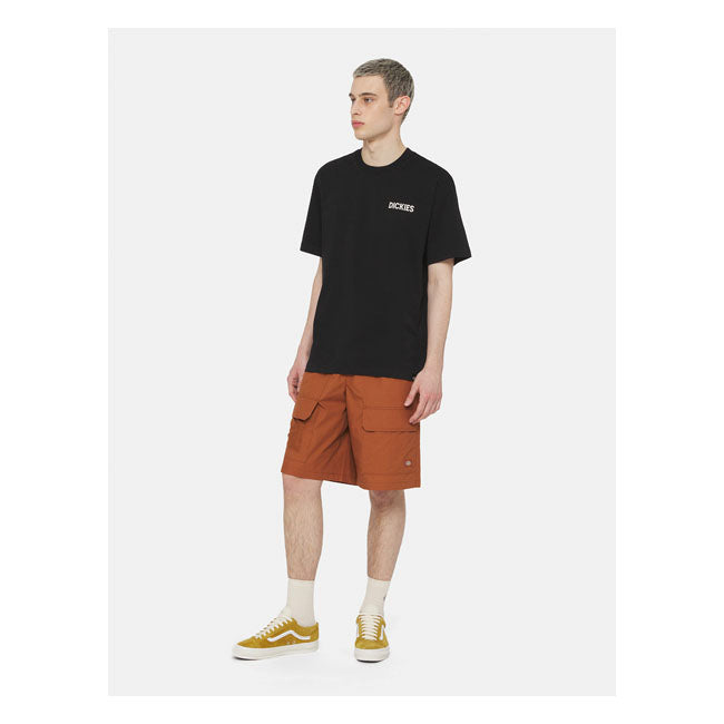 Dickies Beach T-Shirt Black - FREE UK Shipping, FREE 365 Day Returns | Moto Central