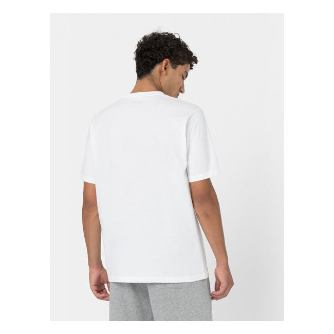 Dickies T-Shirt Pack Dark White