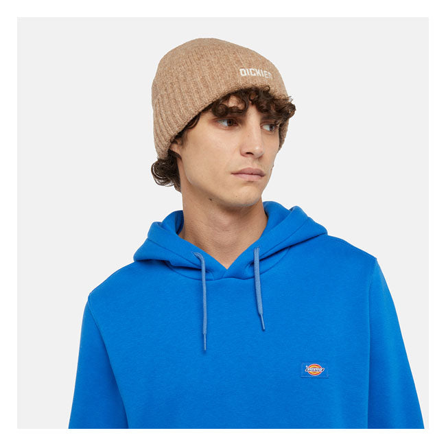 Dickies Harlowtown Beanie Desert Sand - FREE UK Shipping, FREE 365 Day Returns | Moto Central