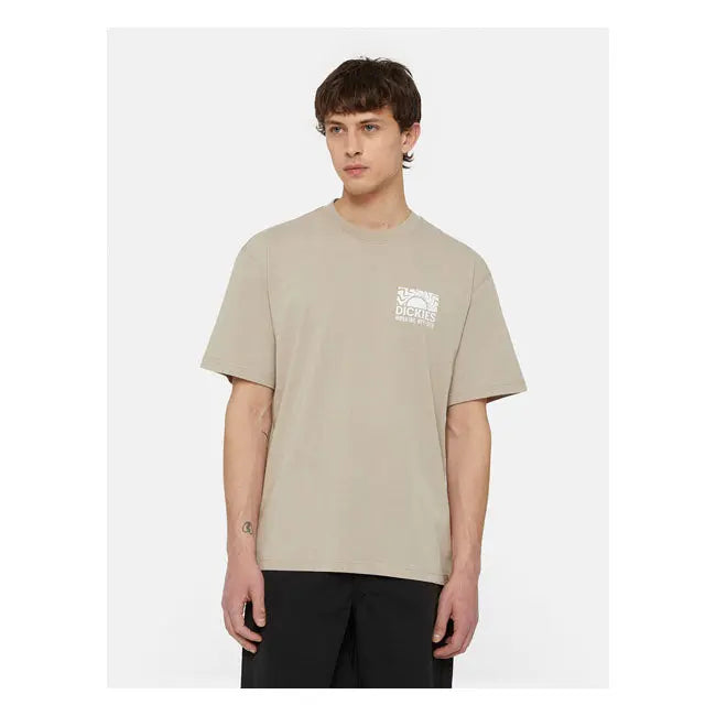 Dickies Saltville T-Shirt Sandstone - FREE UK Shipping, FREE 365 Day Returns | Moto Central