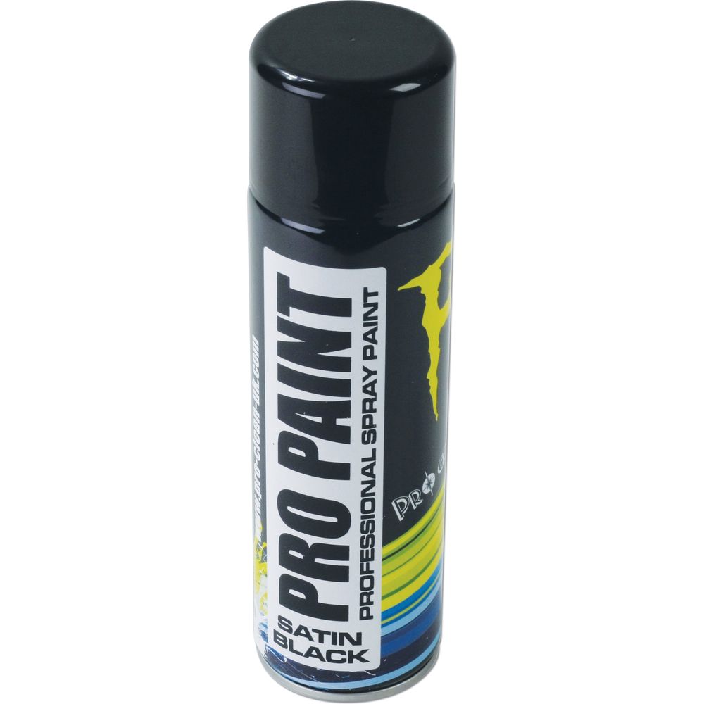 Pro Clean Pro Paint Professional Paint Matt Black